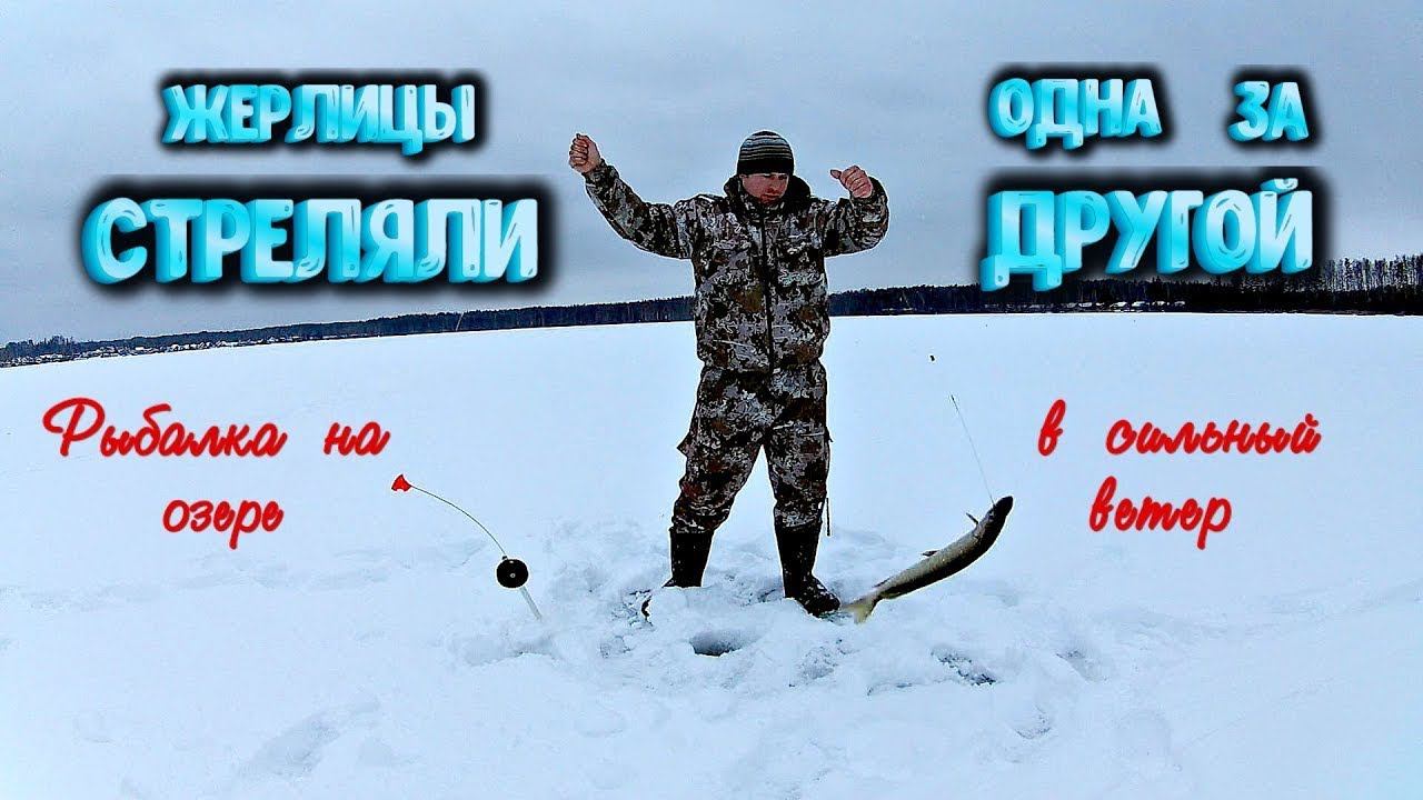 ✔ НАТАСКАЛ ЩУК НА ЖЕРЛИЦЫ по первому льду смотреть онлайн