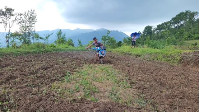 Letting buffaloes eat grass, plowing all the fields, simple meals - Build Green Life. смотреть онлайн