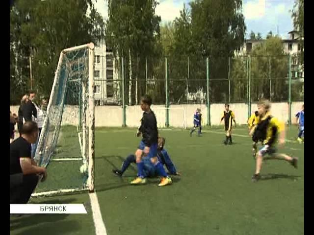 локобол 2013 30 05 13