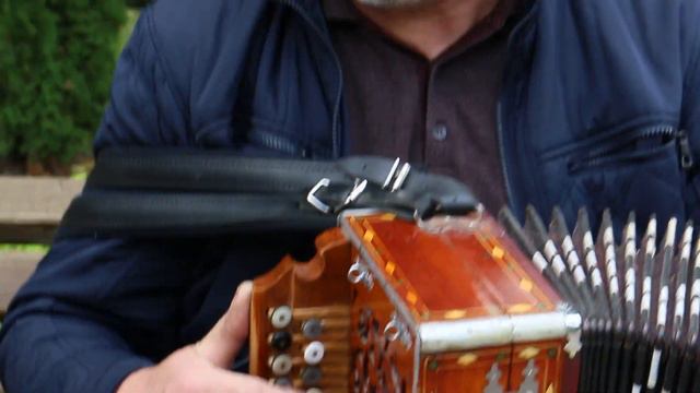 НАШИ ПЕСНИ! Гармонист Каверин Александр из Измалково. смотреть онлайн