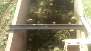 картофелекопалка однорядная самодельная для т 25