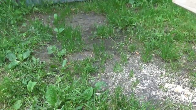 Садовая скамья