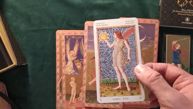 Visconti di Modrone Tarot - Висконти Модроне таро (обзор) смотреть онлайн