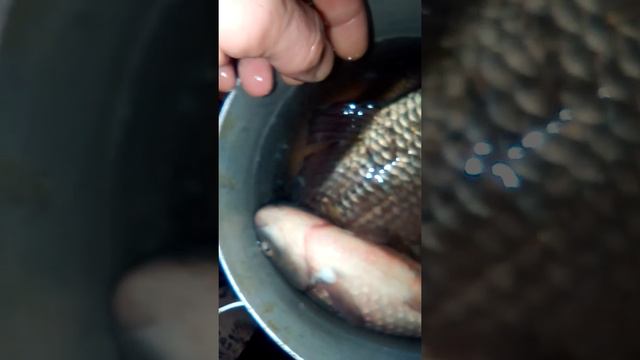 После 12 часов в морозилке смотреть онлайн