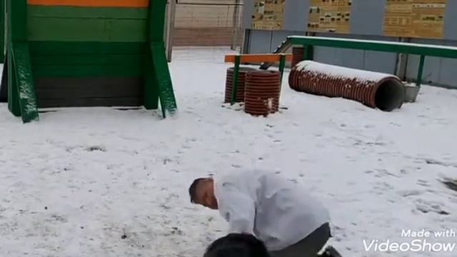 Собака рвет руку! смотреть онлайн