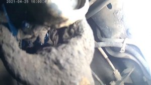 Шприцовка карданов SsangYong Kyron