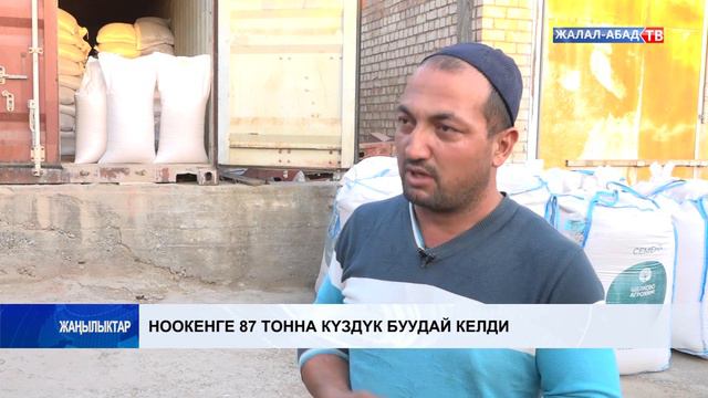 Ноокенге 87 тонна күздүк буудай келди смотреть онлайн