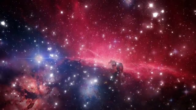 ?Как Бог выбирает душе тело. Рассказ от ведающего.