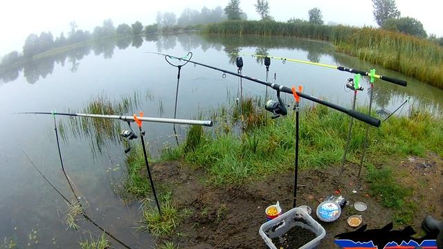 Канадский сом. Ловля сома в д. Забродье смотреть онлайн