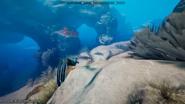 Beyond Blue | Underwater Adventure Game | PC Gameplay | 2020 | No Commentary смотреть онлайн