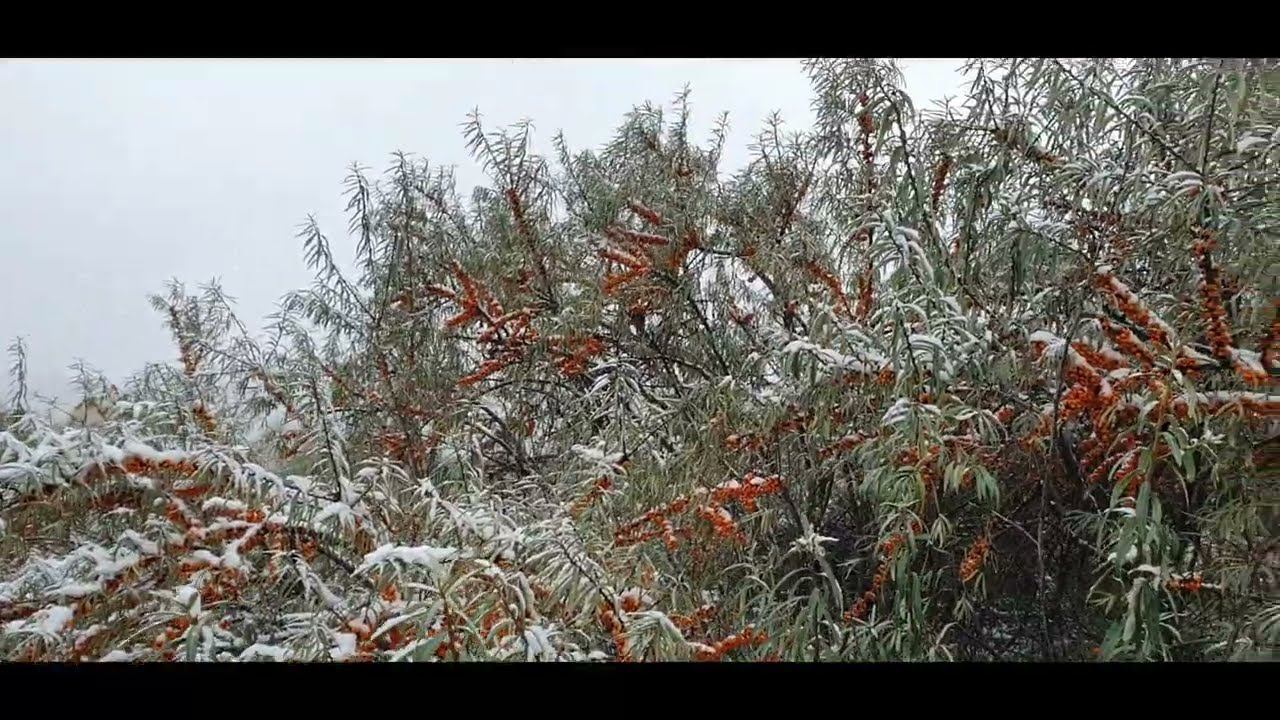 Пенсионерствую.