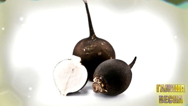 Редька и ее забытые МОЩНЫЕ свойства. Узнав ЭТО, вы полюбите редьку!