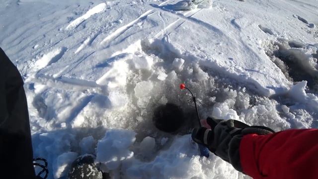 Дамба Юг Морская Сторона. Рыбалка на Финском Заливе Ловля Корюшки смотреть онлайн