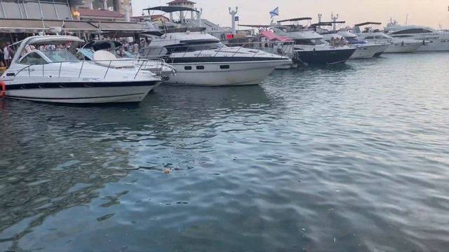 Владельцы прогулочных судов загрязнили Черное море в Сочи смотреть онлайн