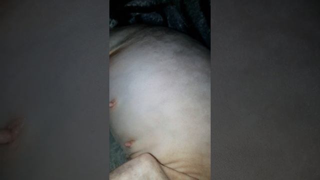 Котята начали шевелиться смотреть онлайн