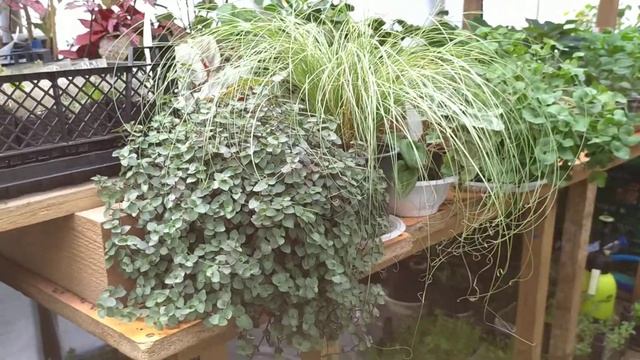 06.04.2021 КАЛЛИЗИЯ смотреть онлайн