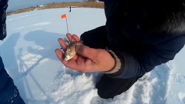 Боровое озеро. Рыбалка на жерлицы с приключениями смотреть онлайн