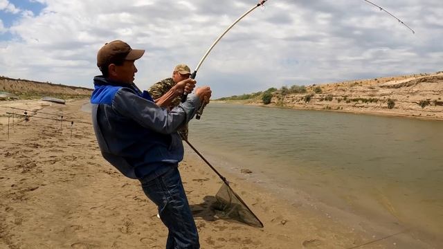 СЫРДАРИЯ САЗАНДАРЫ. СЫРДАРИЯ ӨЗЕНІНДЕ БАЛЫҚ АУЛАУ. ( 1-ШІ БӨЛІМ ) Огромные сазаны. Carp fishing. смотреть онлайн