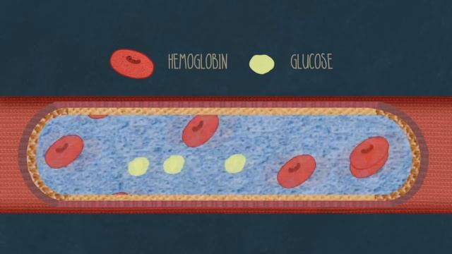 Почему происходят менструации? / TED Ed на русском языке смотреть онлайн