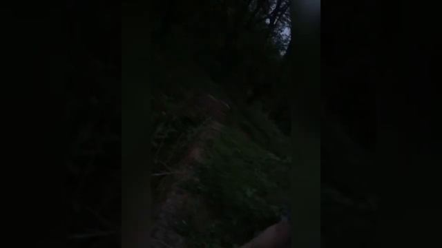 Новые приключения в Ставрополе! Павлова Дача! смотреть онлайн
