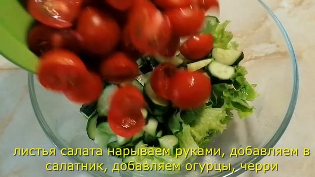 Зоопарк и Дикие Животные