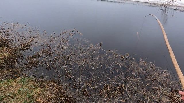ПОПАЛИ НА КРУПНЯК!!! Удачная рыбалка на экраны-телевизоры. смотреть онлайн