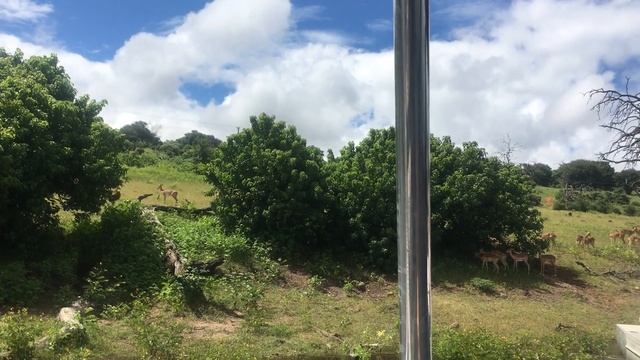 Африка.Ботсвана.Национальный парк Чобе и круиз по одноименной реке.Март2018 смотреть онлайн