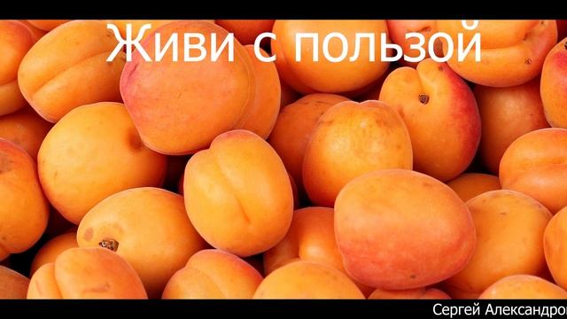 Живи с пользой смотреть онлайн