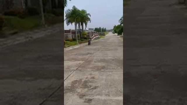 Little Harley смотреть онлайн