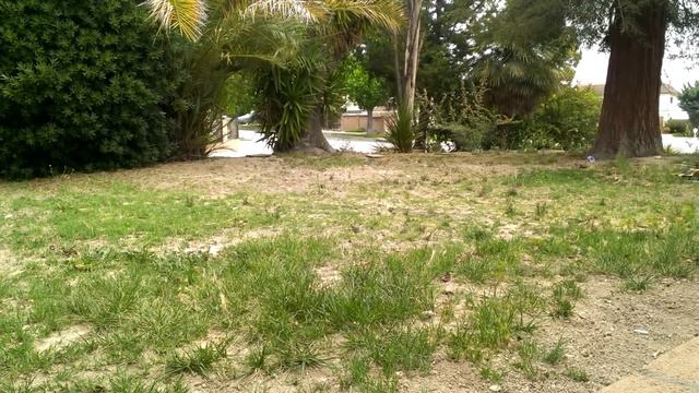 WL Toys V912 HD Video Review Vs WL Toys V911