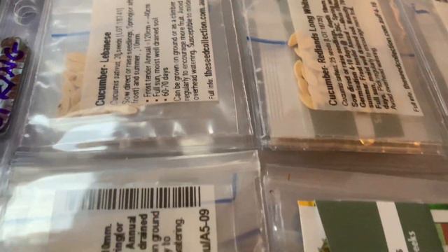 Preparing for Spring Planting | Seed Organisation & Planting Plan | Witchy Vlog смотреть онлайн