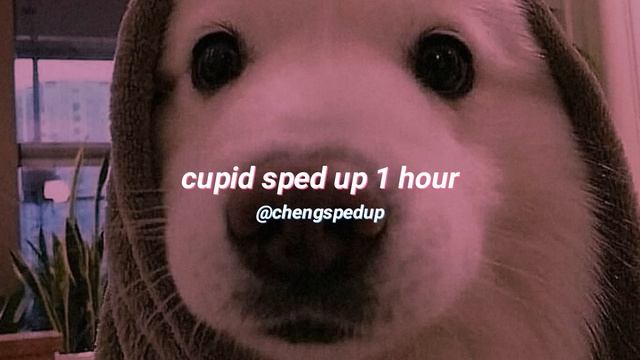 Cupid Sped Up 1 Hour