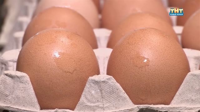 Живу в Ижевске 26.04.2016 смотреть онлайн