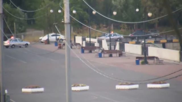 Медведь ходит в Архангельске смотреть онлайн