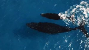 Мужчина-Дева и Женщина-Дева | Совместимость в любви по знаку зодиака