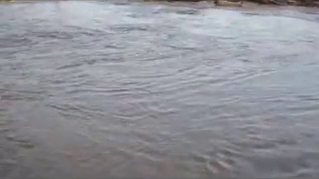 Рыбалка на реке Королок смотреть онлайн