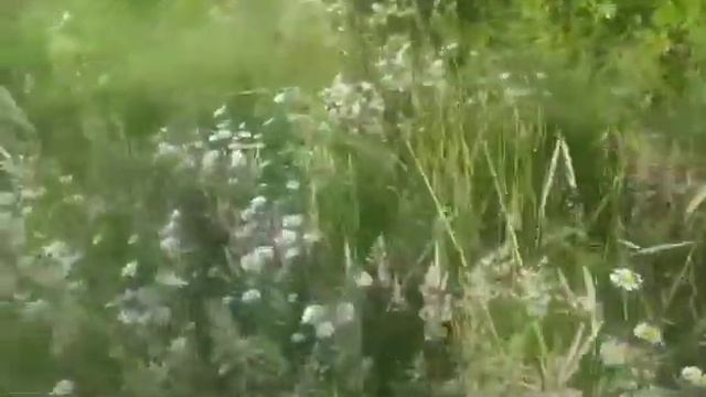 А работа проводником мне всегда нравилась. смотреть онлайн