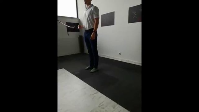 Exercícios de Manutenção da Coluna #3: Paloff Press смотреть онлайн