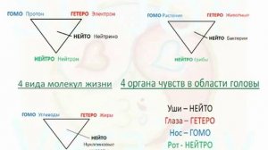 Су Джок   Закон Триначалия 2. Вера Завершинская 11.11.2014