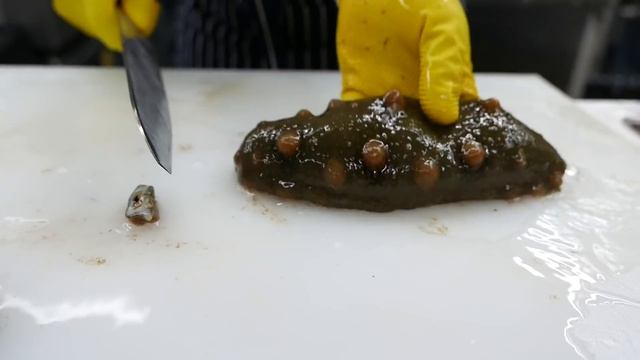 Korean Street Food - SEA CUCUMBER Seafood Korea