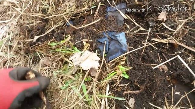 Поиск сокровищ Коп Совдеповский клад. Золотой кулон с секретом смотреть онлайн