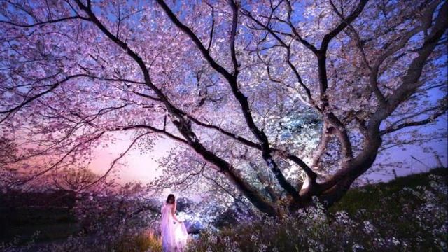 Молодильная фабрика. Жизнь на новой Земле.