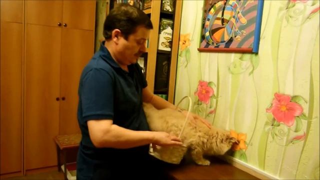 "Оригинальный подарок!" (4 месяца спустя!) смотреть онлайн