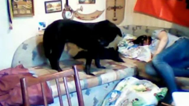 Спать на полу очень модно смотреть онлайн