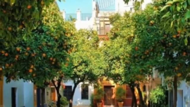 Природа Алтайского края лучшие снимки 2016 года смотреть онлайн