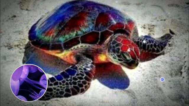 Добрый вечер)))) Последний урок в Азбуке Видео в видео)))) смотреть онлайн