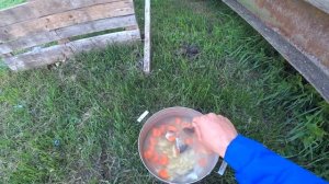 Как сделать прикормочную точку для карпа! Самая дешёвая прикормка для карпа! Ловим карпа, амура!