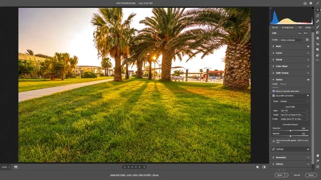 PHOTOSHOP CAMERA RAW 2020 12 LENS HATALARINI DÜZELTME смотреть онлайн