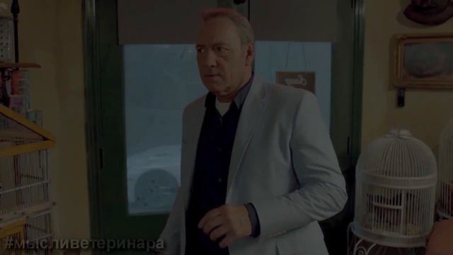 ТОП 5 ФИЛЬМОВ С КОШКАМИ! Обзор кино. смотреть онлайн