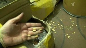 Человек и закон. Выпуск от 10.04.2015